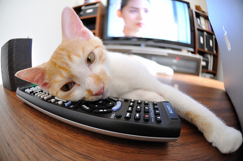 瑞典队未来发展:提升技术水平与应对国际挑战,瑞典队近况